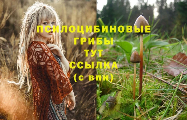 таблы Белокуриха