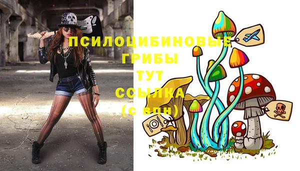 винт Беломорск