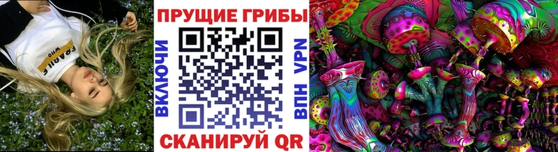 хочу   Макаров  blacksprut   Псилоцибиновые грибы прущие грибы 